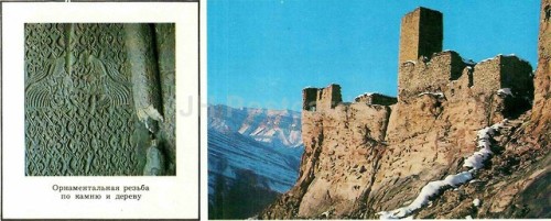 lilium-bosniacum: USSR 1981 / Dagestan, North Caucasus 