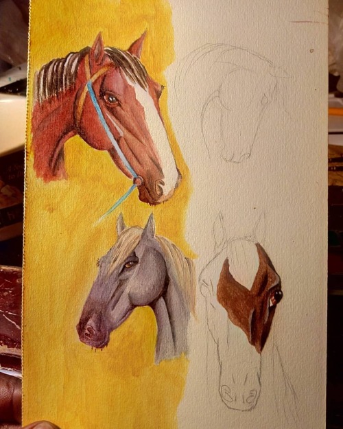 Progress.#watercolor #watercolorsketch #watercolorpainting #painting #horse #horses #horsepainting #