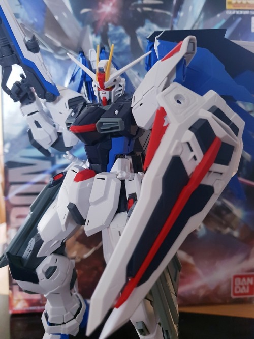 saintgunpla: 1/100 MG Freedom Gundam 2.0 WIP (Still requires panel-lining, decals and topcoat)