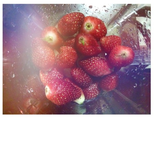 Strawberries from Baguio to my stomach. Hehe #Forevermore #Fresh #Strawberry (at Mangatarem)