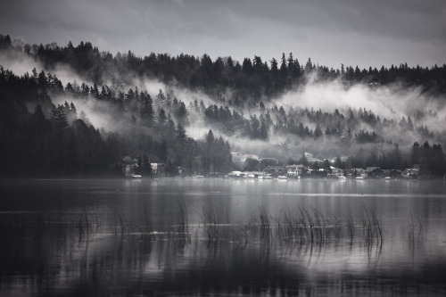 sparth:  fog on Lake Sammamish.2010-2011 