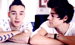 ffranksiero:  3/60: Your favorite BROTPS (2/2) - Liam & Harry“if I was an animal, my mating call would sound a little like this, "hello, I’m the real liam payne, nice to meet you” 