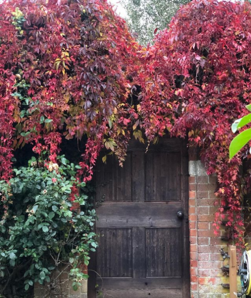 Photos of Friar Park from Olivia Harrison’s Instagram [x]NOTE: Happy Birthday, George Harrison! Duri