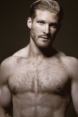 mydaddyishairy:  My Daddy is Hairy - over