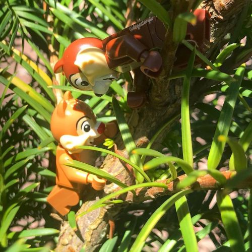 “Hang on, Dale. Give me your hand.” #legostorybr #lego #ChipnDale #Disney #Legodisney #c