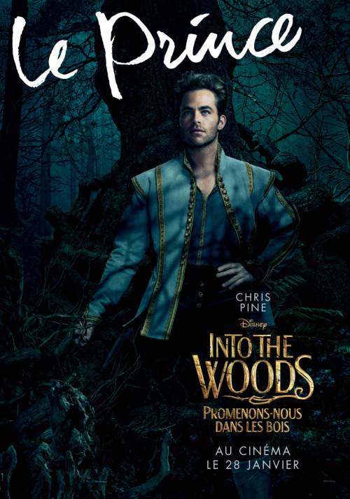 Disney : les premières affiches de &ldquo;Promenons-nous dans les bois&rdquo; 