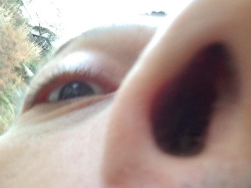 Misha + Extreme Close-ups