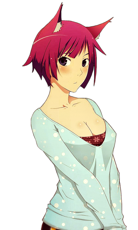 vergil03:  Transparent Senjougahara Hitagi ~ by Kiyoshi-Sempai 