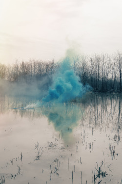 vjeranski:  Filippo MinelliShape D/N, 2013Beetles