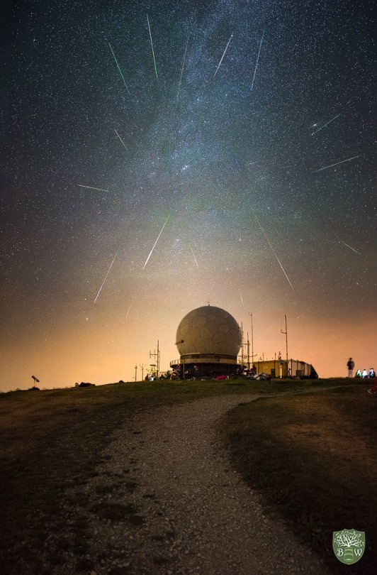 Radiating Perseids This photograph of August’s Perseid Meteor Shower was taken on top of the Wasserkuppe Mountain in Central...