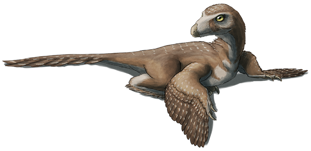 alphynix:  X is for Xixiasaurus  Xixiasaurus henanensis (pronounced “shee-shah-saurus&quot;)