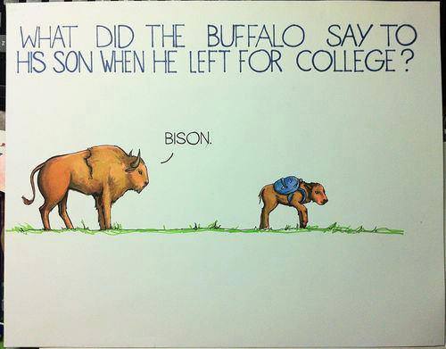 nativeamericannews:    Get it?  
