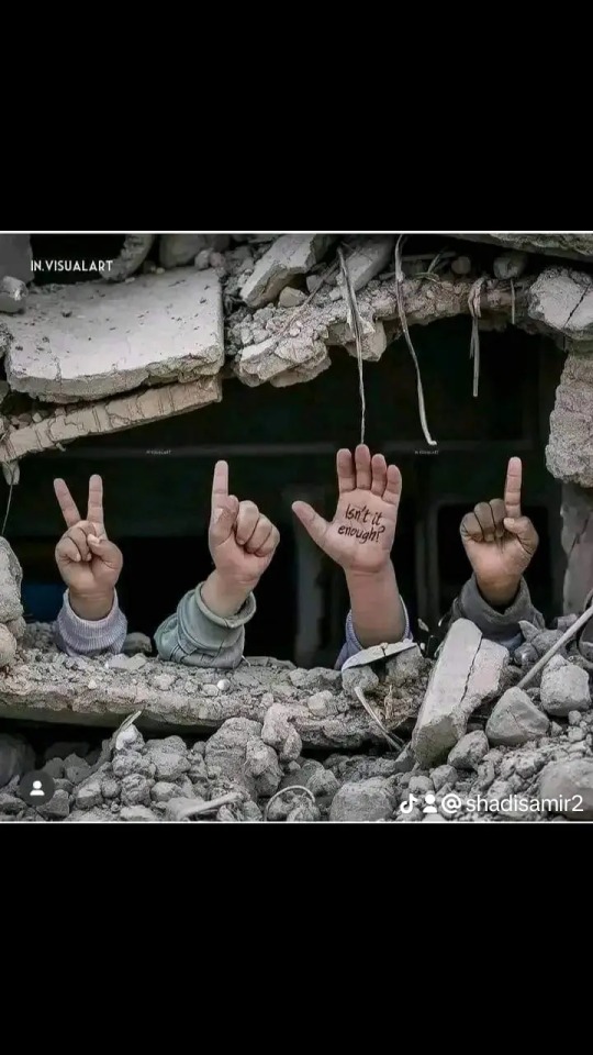 I Am Shady Ashour From The Besieged Gaza, I Have Created My Campaign To Help My Family And Save Them