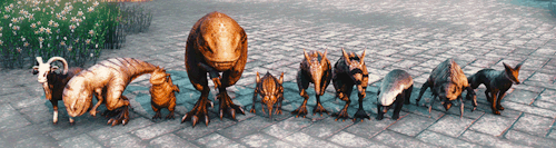 lady-of-cinder:↳ The Elder Scrolls Online : Collection of Pets 