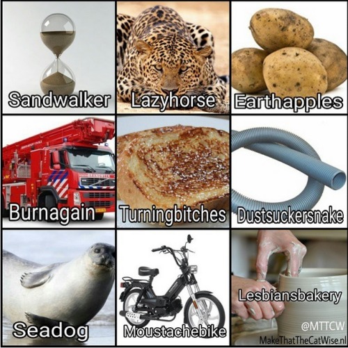 derinthemadscientist: unfollovving: This is what you get when you translate Dutch words into English