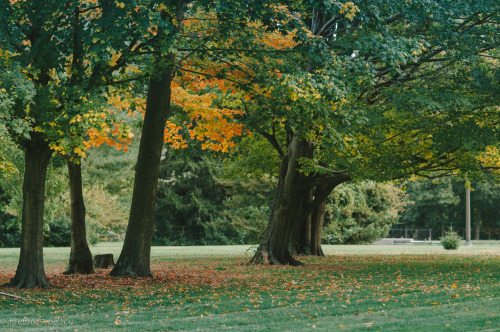 ~autumn In Long Island~