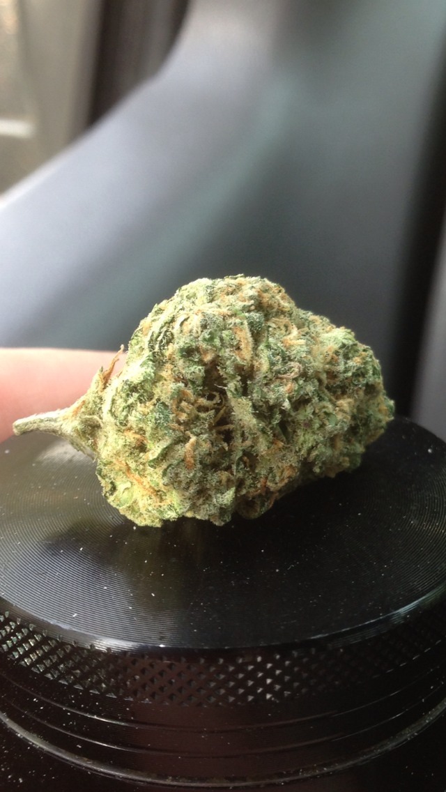 cheeba-chiefa:  Dank lil popcorn nugs