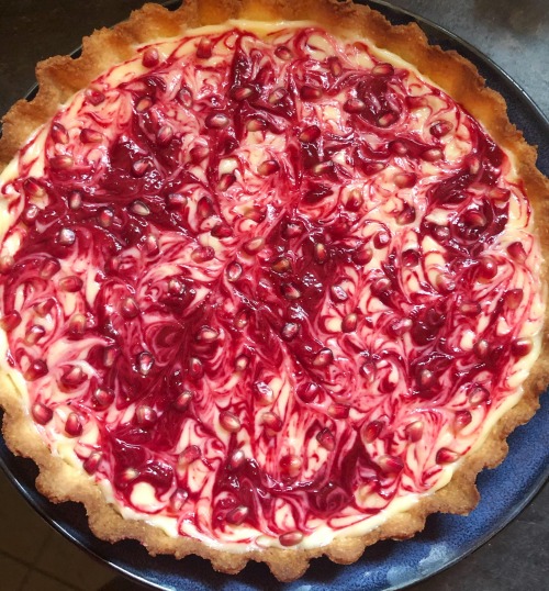 foodmyheart:  I made a lemon and pomegranate tart! Source: https://reddit.com/r/foodporn http://foodmyheart.tumblr.com | https://campsite.bio/foodmyheart