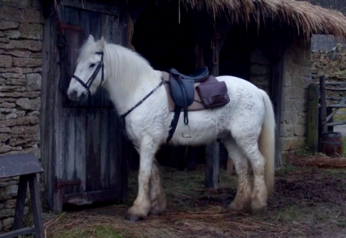 straight-outta-cornwall - Hugh’s ridiculously fluffy horse