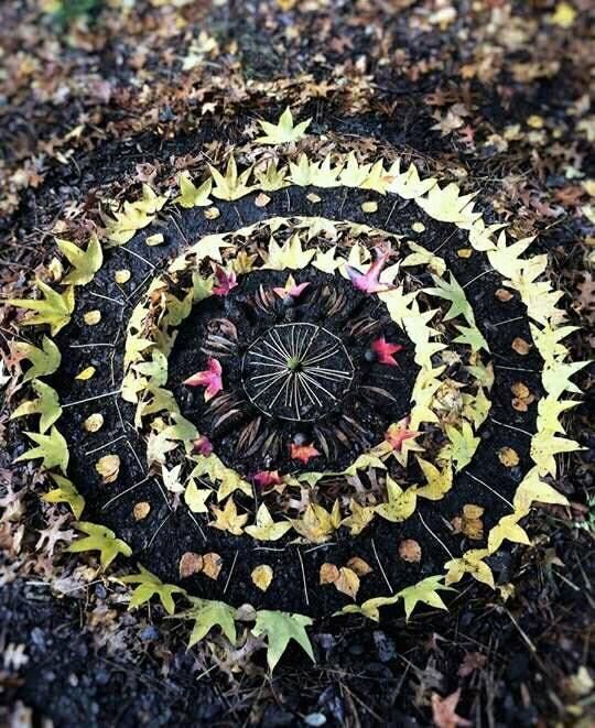 whimsigothwitch:Nature mandala’s 