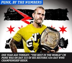 thepunknation:  WWE App Photo