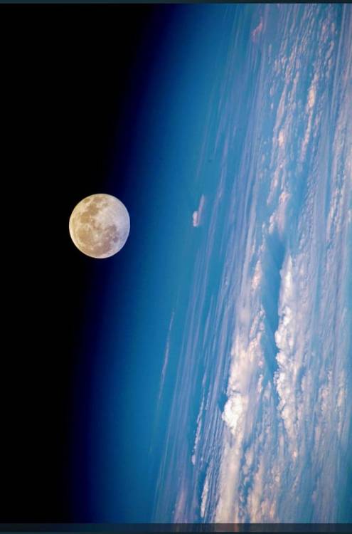 max-e-doodle:Full Moon from the International Space Station.NASA.