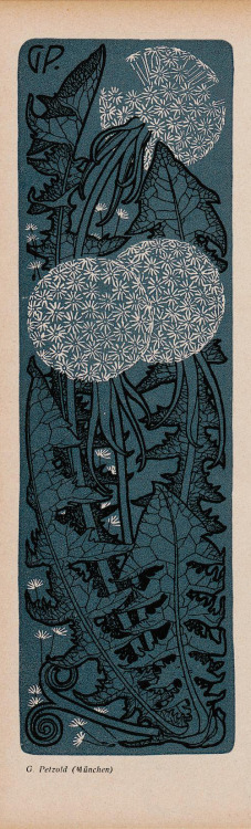 hideback: Dandelion illustration by G. Petzold Jugend Magazine, Munich, 1904