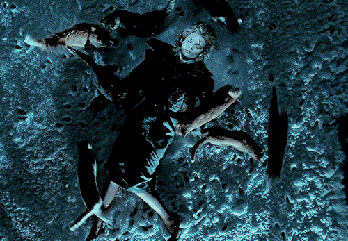 stevienick:✫ CATS IN FILM (5 / ∞)Practical Magic (1998)The Mummy (1999)Little