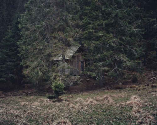 gloomytreehouse:  To the mountains by Dany Peschl 