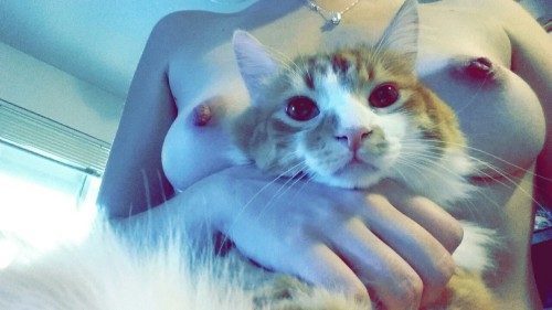 Kitties n titties 