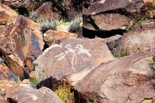 Coso Rock Art District PetroglyphsLittle Petroglyph CanyonNAWS China LakeRidgecrest, California