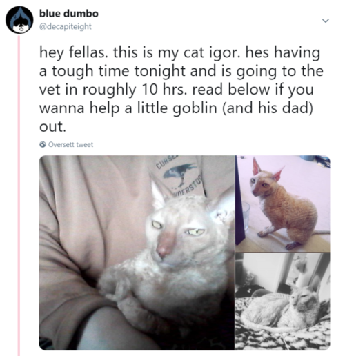 decapiteight