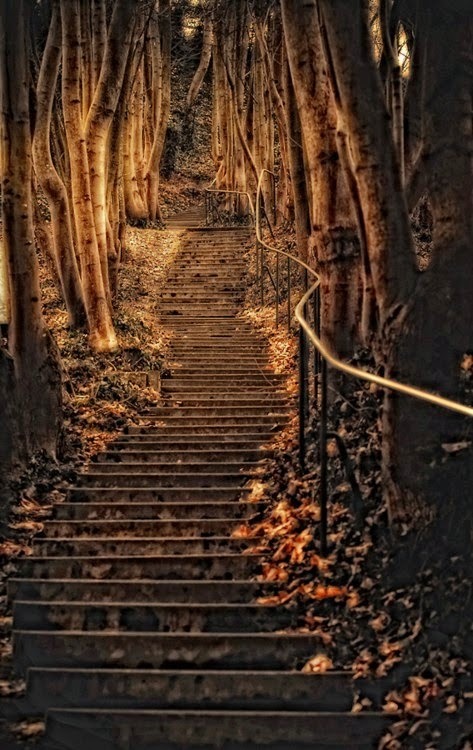 Ascendance (stairway in the forest near Wurzburg, Germany)