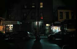 palm:  Prospect Park Deli - dark by grapfapan