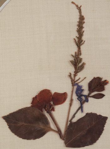 fryderykdelicateflower:Flower arrangement from Chopin’s deathbed, collected by Solange Cl&eacu