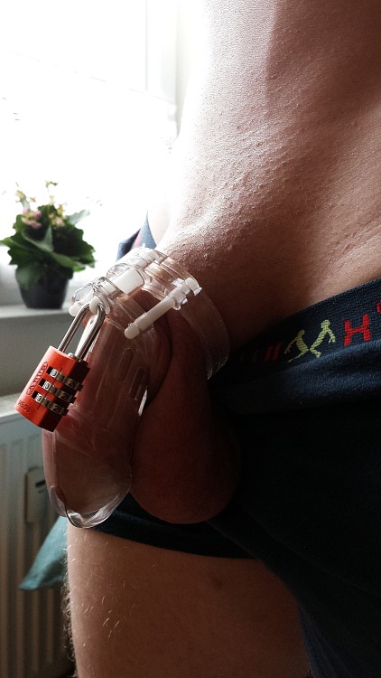 locked cock