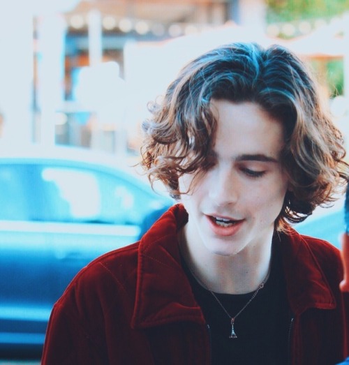 draculalair:Timothée Chalamet at Deadline’s ‘The Contenders’