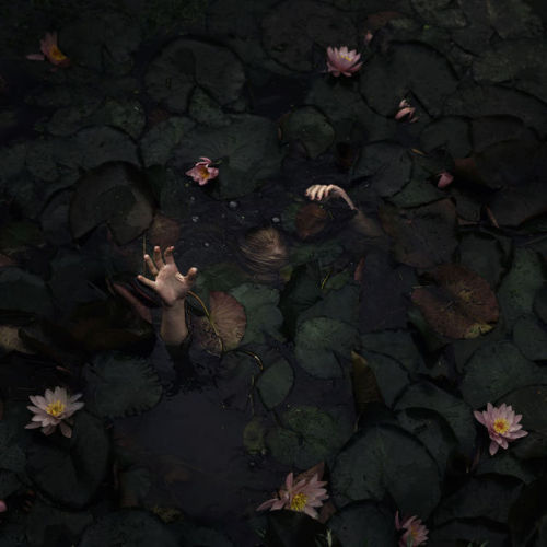 Esmé Fransen (Dutch, Antwerpen, Flanders, Belgium) - Beneath The Surface Photography