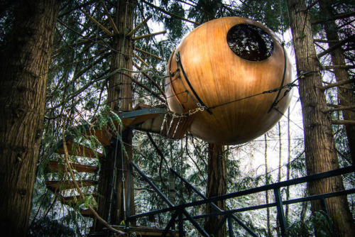 bobbycaputo:  Canada’s Giant Spherical Treehouse Hotels Let You Sleep in the Trees  