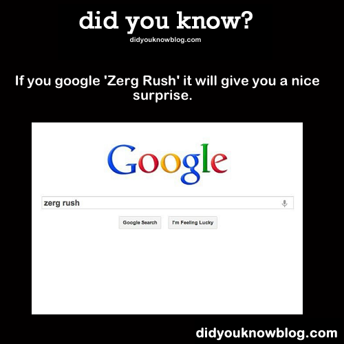 did-you-kno:  If you google ‘Zerg Rush’ it will give you a nice surprise. Source