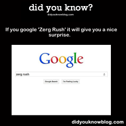 did-you-kno:  If you google ‘Zerg Rush’