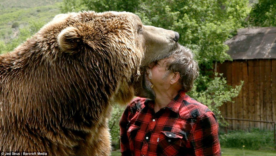 sixpenceee:
“Doug Seus looks into the open jaws of Bart 2 in Heber City, Utah. For the last four decades, Doug and wife Lynne have shared their ranch in the with their four bears. The bears’ ease in human company has helped them carve out an...