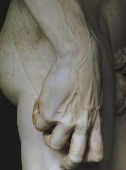 detailedart:  David (1501-1504), by Michelangelo.