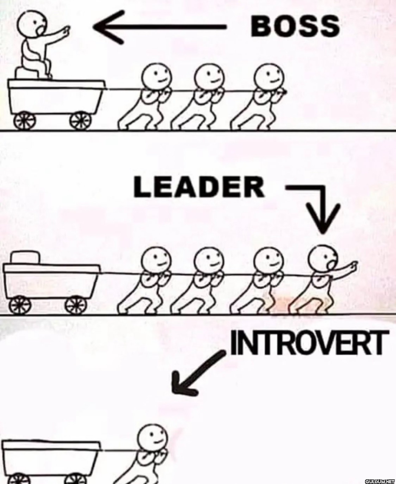 BOSS LEADER INTROVERT