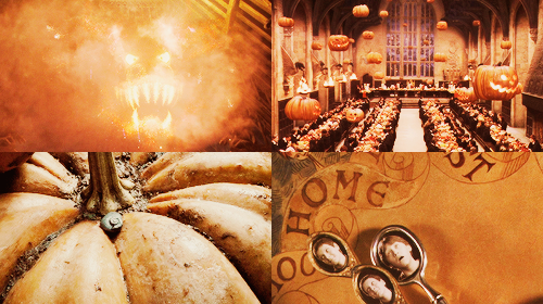 jennlawrnce2-deactivated2015091:  harry potter colors 