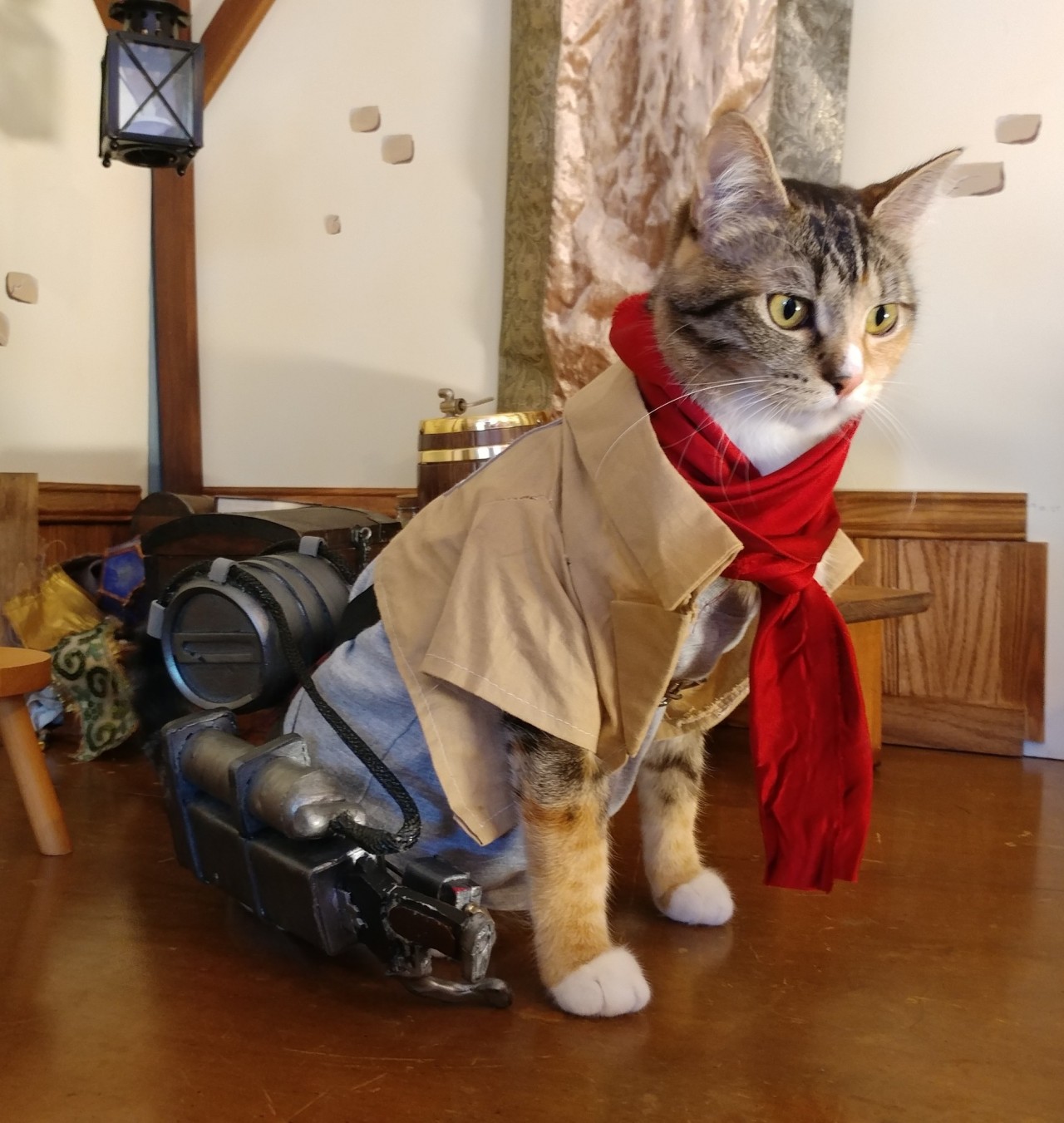 Talented Japanese Man Creates Anime Costumes For His Cats