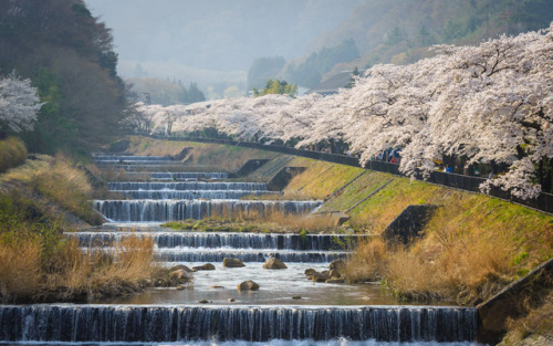Japon.Hakone.Kyoto (bamboo forrest at Harashiyama).Kanmangafuchi Abyss
