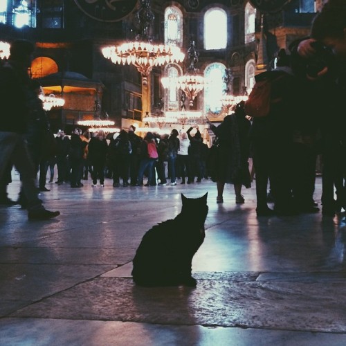 danhowellsarse: Madrid // Moscow // Istanbul // Rome