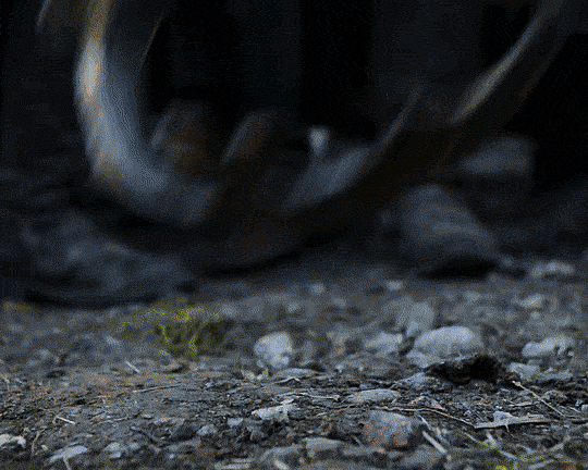 0a74b91eb1f59017f880c7057ade45e4f8d0110c.gif