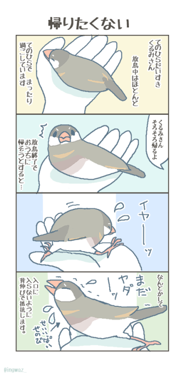 bunchobox:  くるみさん、あまりに必死なので　いつも飛んで逃げればいいのに…とついつい思ってしまいます。